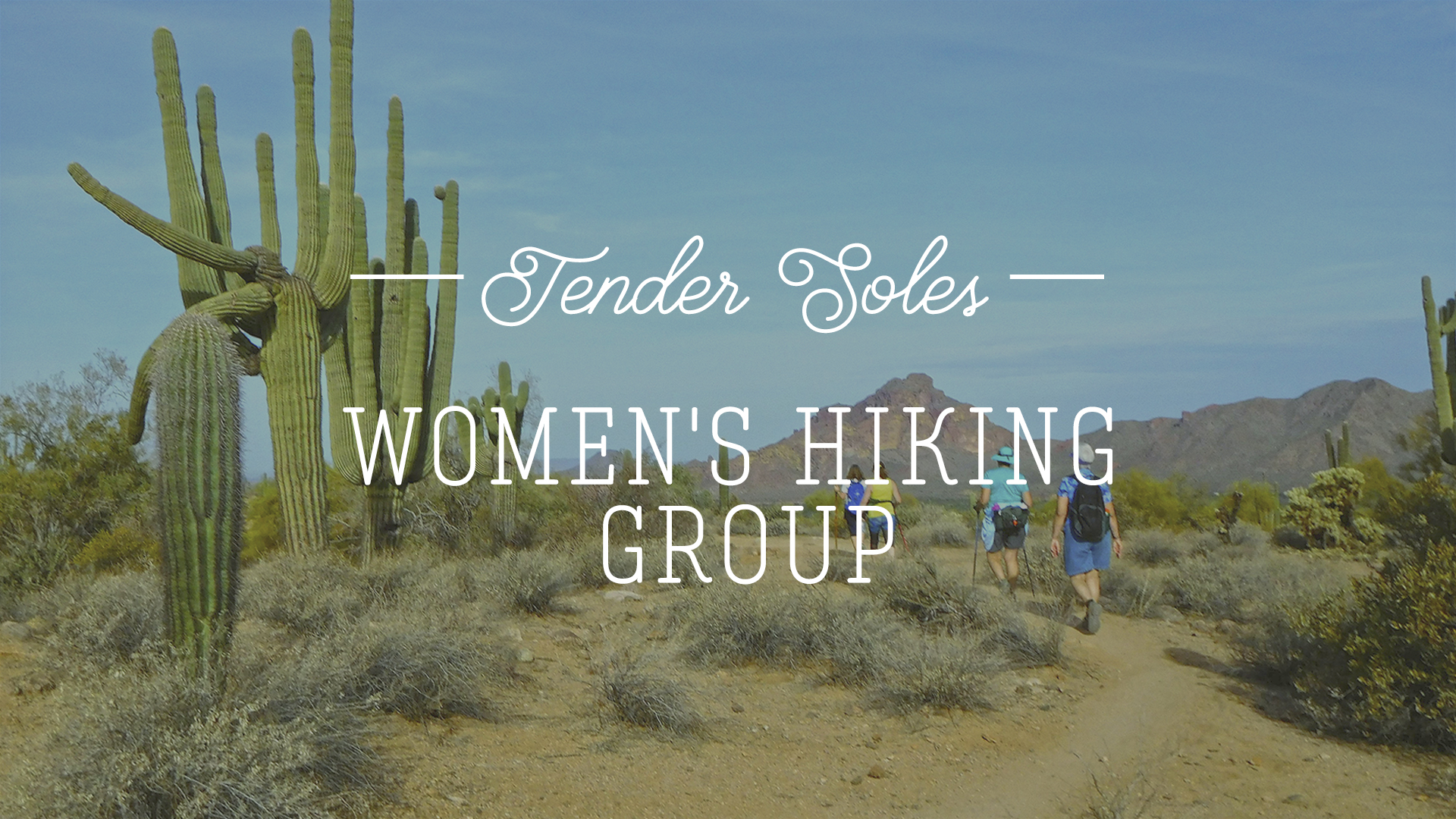 tender-soles
